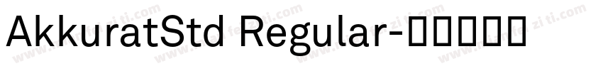 AkkuratStd Regular字体转换